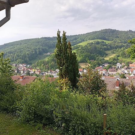 Das Tor Zum Odenwald Gorxheimertal Экстерьер фото