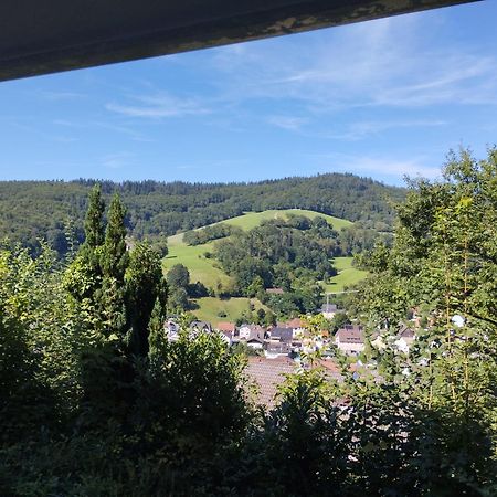 Das Tor Zum Odenwald Gorxheimertal Экстерьер фото