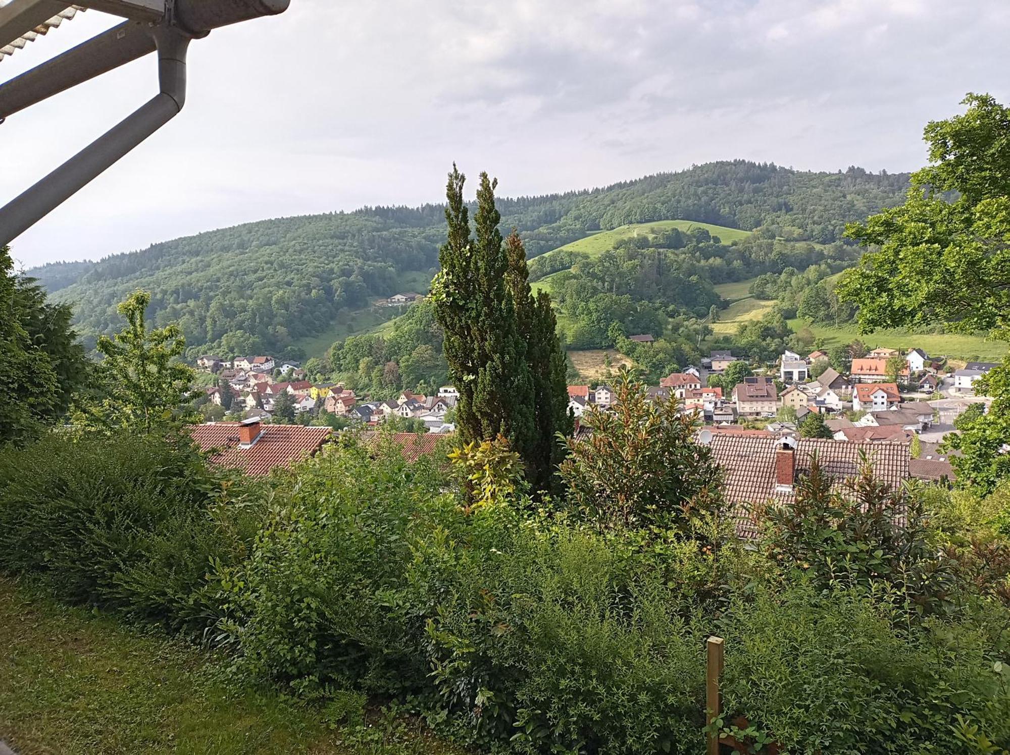 Das Tor Zum Odenwald Gorxheimertal Экстерьер фото