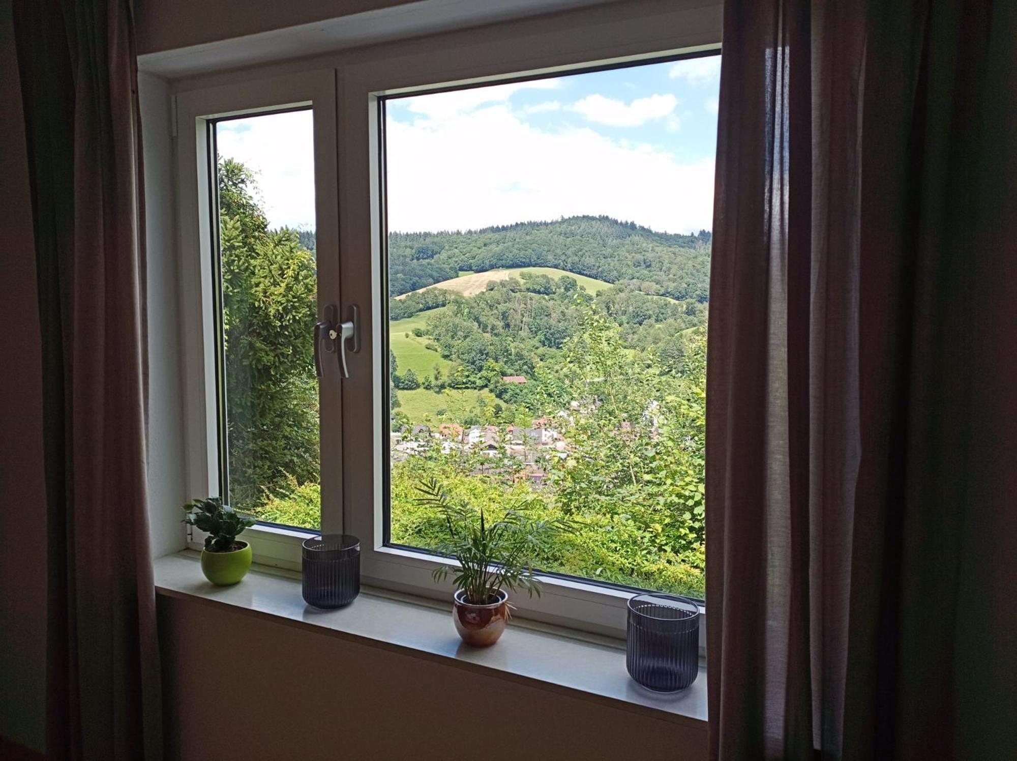 Das Tor Zum Odenwald Gorxheimertal Экстерьер фото