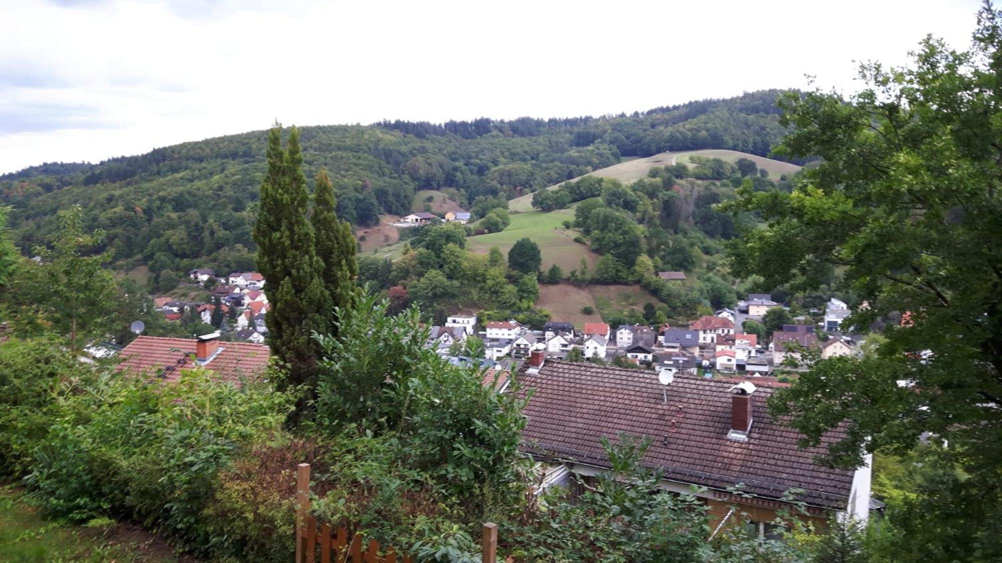Das Tor Zum Odenwald Gorxheimertal Экстерьер фото